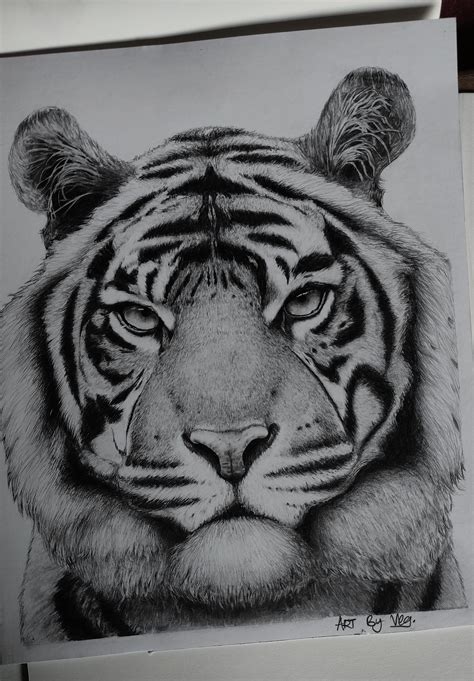Disappointed With My Attempt Of Making A Realistic Tiger I Spent Many