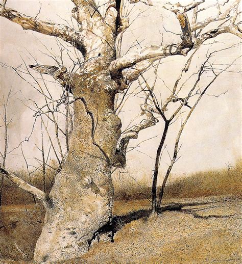 Sycamore 1982 Andrew Wyeth Andrew Wyeth Watercolor Andrew Wyeth