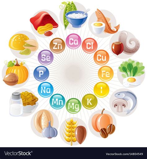 Mineral Vitamin Supplement Icons Calcium Iron Vector Image Mineral