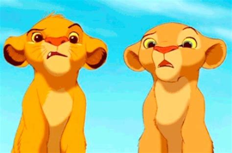 How Well Do You Know These Disney Animals Lion King Fan Art Disney