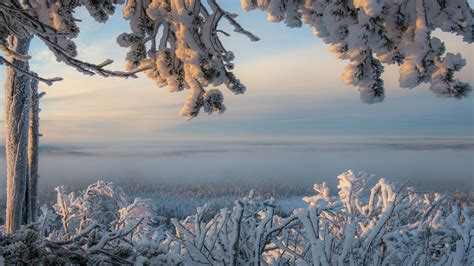 Snowy Lapland Ylläs In Winter Finland Backiee