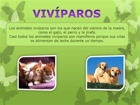 Ppt Los Animales Powerpoint Presentation Free Download Id7061149