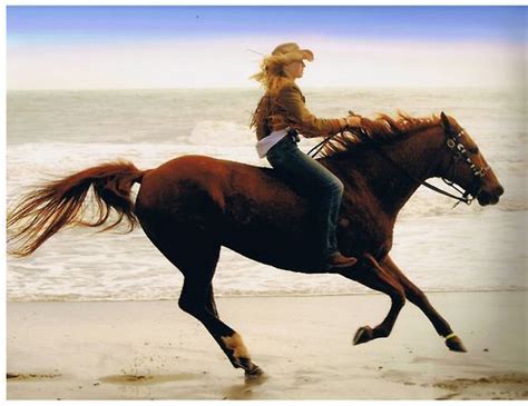 Bareback Riding Bareback Riding Beautiful Horses Pretty Horses