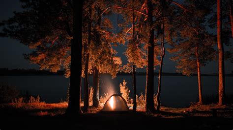 Download Outing Campfire Trees Tent Night 1920x1080 Wallpaper Full