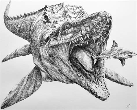 Let's take a look at the fun drawing tutorial in the video. Mosasaurus, 50x40 cm, pencil, made in commission ...