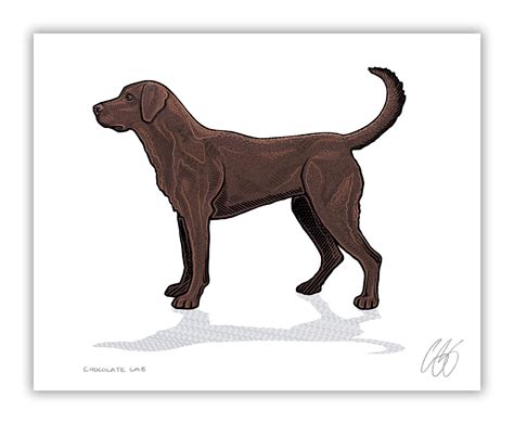 Bird Dog Prints Casey Underwood Artwork And Design
