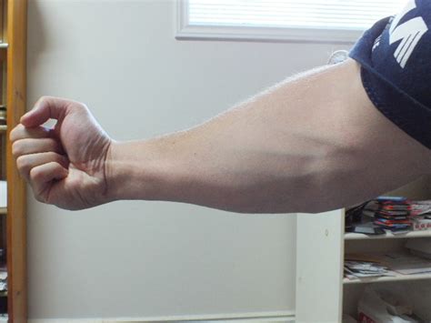Workout Routine To Bulk Up Your Forearms Caloriebee