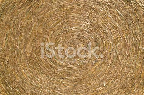 Hay Bale Close Up Stock Photo Royalty Free Freeimages