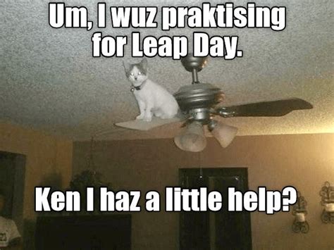 Leap Day Is Coming Cat Quotes Funny Cat Memes Silly Cats