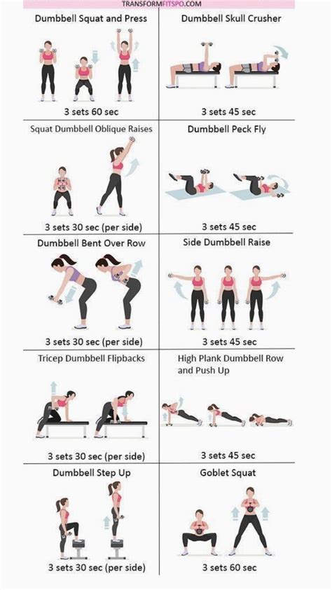 Full Body Workout Workout For Beginners Fitness Body Total Body Workout
