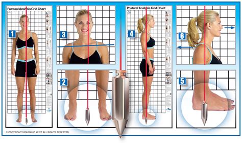 Getting Comfortable With Postural Analysis Practice Building Tips Kent Health Systems