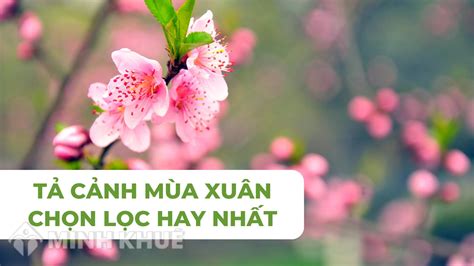 Tả Cảnh Mùa Xuân Chọn Lọc Hay Nhất