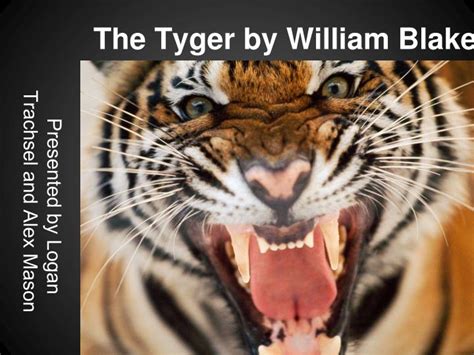 Ppt The Tyger By William Blake Powerpoint Presentation Free Download Id 2196336