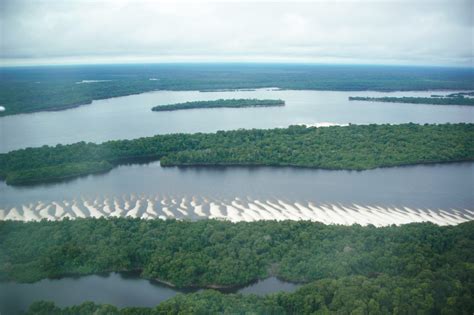 The Amazon Negro River Go Green Brazil