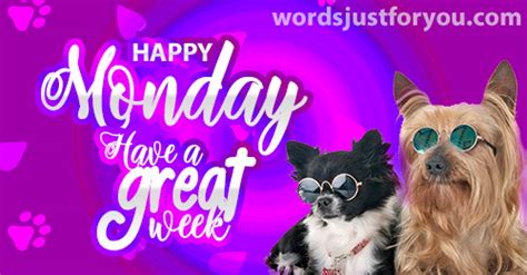 Monday mornings are the best! Happy Monday Image - 5479 | Words Just For You! - Best ...