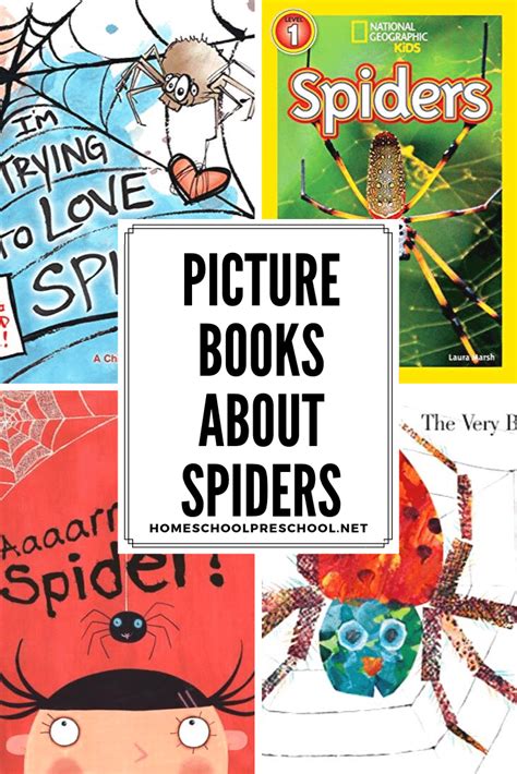 15 Of Our Favorite Spider Books For Preschoolers Preschool Books