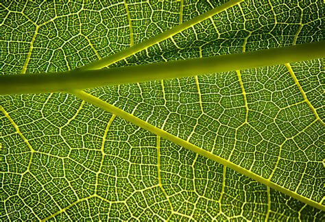 Still Life Photography Brent Bremer Photography