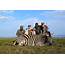 SOUTH AFRICA First African Safari With KMG Safaris  AfricaHuntingcom