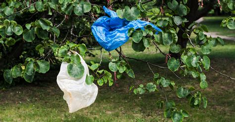Texas Failure To Ban Plastic Bags Is Stressing The Environment