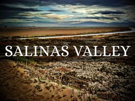 Salinas Valley By Haley