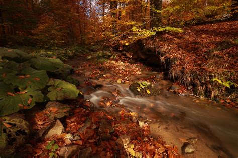 Fall Is In The Air Beautiful Autumn Views In Turkeys Domaniç