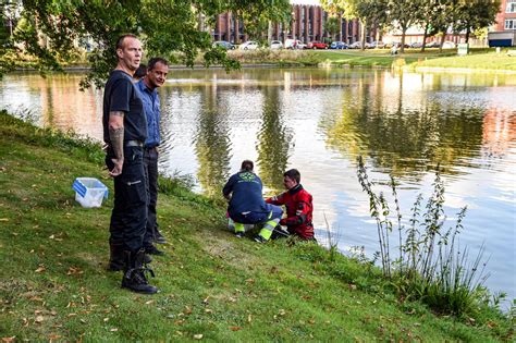 Il est causé par une toxine produite par un certain type de bactérie. Brandweer redt eend uit met botulisme besmette vijver ...