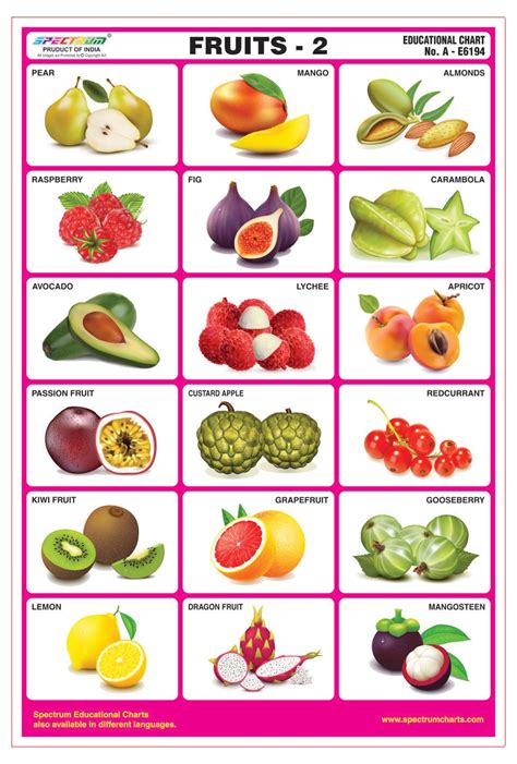 Buy Spectrum Fruits 2 Educational Pre Primary Kids Learning Laminated