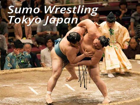 Sumo Wrestling Tokyo Artphototravel