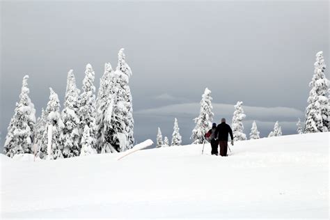 Weekend Hurricane Ridge — And 7 Feet Of Snow — Open For Days Of Winter