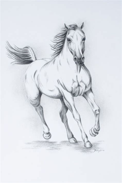Original Charcoal White Horse Sketch 11x14 Horse Running Wild