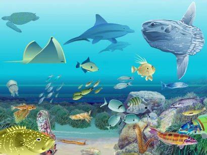 1.2 ventajas de los ecosistemas acuáticos HISTORIA - GEOGRAFÍA Y ECONOMÍA: LOS ECOSISTEMAS DEL MUNDO