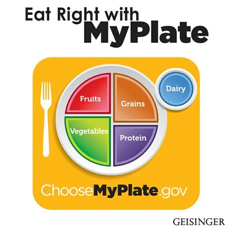 How many food groups are there? MyPlate replaced the food pyramid last year. Do you ...