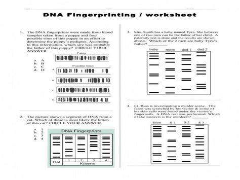 Dna rna and proteins worksheet answer key | akademiexcel.com ahead of talking about worksheet on dna rna and protein synthesis answer key, please are aware that education is definitely your critical for a more rewarding the next day, and finding out does not only cease right after the institution. 29 Dna Fingerprinting Worksheet Key - Worksheet Project List