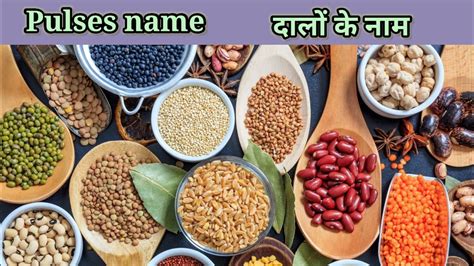 Pulses Name In Hindi And English With Pictures दालों के नाम Youtube