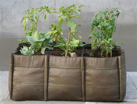 Remuez jusqu'à obtention d'une texture lisse et homogène. Les Jardinière de légumes - Vive les Cornichons!