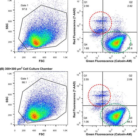 Density Plots Of Flow Cytometry Analysis On Apc Annexin V And 7 Aad Download Scientific Diagram