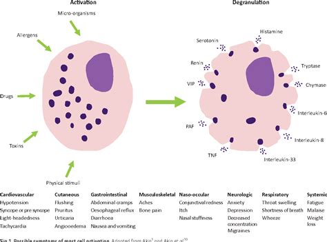 Figure 1 From An Update On Mast Cell Disorders Semantic Scholar