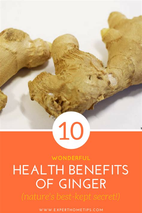 10 Glorious Health Benefits Of Ginger Natures Best Kept Secret