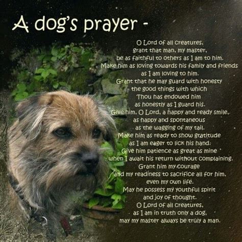 The main reason why prayer for pets is important is that even when they fall sick or die, we in a moment of distress in memory of a pet, catholics find a calm environment and say this prayer; Pin by Leslie Olswanger on prayers for pets | Dogs, Prayer ...