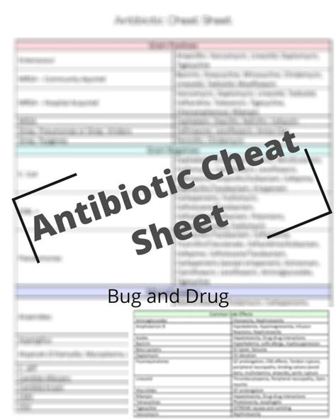 Antibiotic Cheat Sheet Pharmacology Notes Pharmacology For Etsy