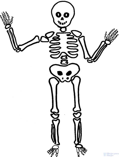 ᐈ Dibujos De Esqueletos【900】lo Mejor Para Halloween