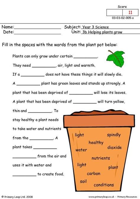 Year 3 Worksheets Science Worksheet Now