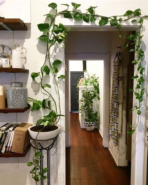 20 Creative Home Design Ideas You Need To Try To House Plants Indoor