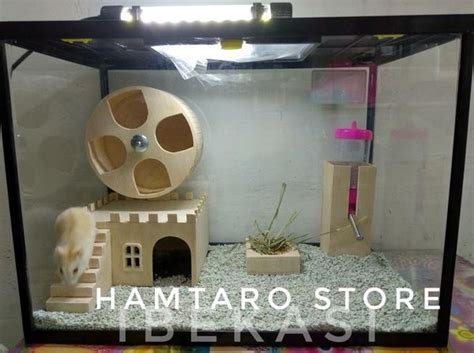 Jual Terarium Kandang Hamster Medium Semi Istana Fullset Aquarium Hamster Di Lapak Grove Shop