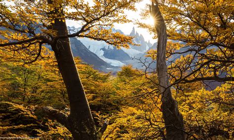 Autumn In Patagonia Argentina By Marco Grassi Natural Frame