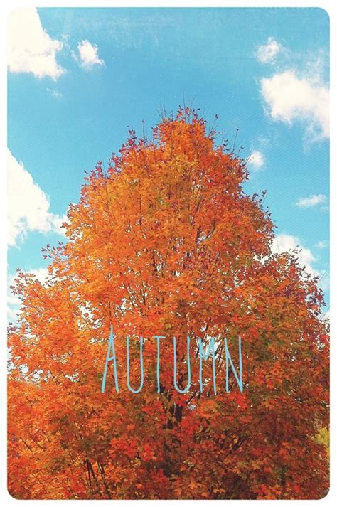 Autumn Iphone Wallpaper Neighborhood Finds Pinterest