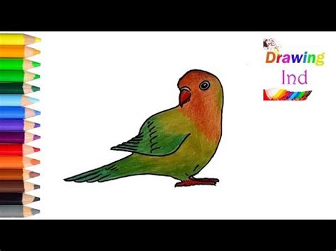 Terkeren 17+ Gambar Kartun Burung Lovebird Ngekek - Gani ...