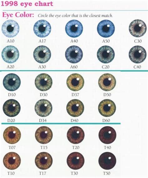 The 25 Best Eye Color Charts Ideas On Pinterest Baby Eye Color Chart