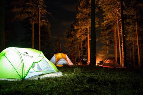 Free Photo Camping In Forest With Tent Light And Bonfire