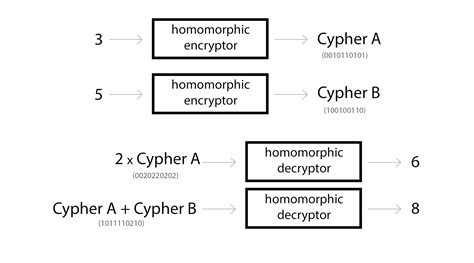 Homomorphic Encryption Slides